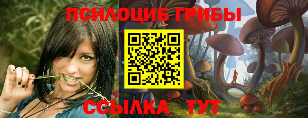 Сорочинск  Псилоцибиновые грибы GOLDEN TEACHER  Вход с VPN 